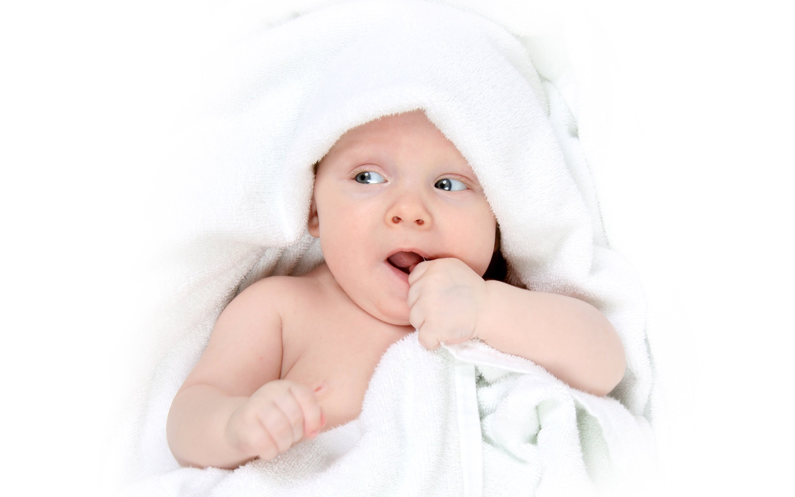 泉州捐卵机构中心试管婴儿囊胚移植成功率